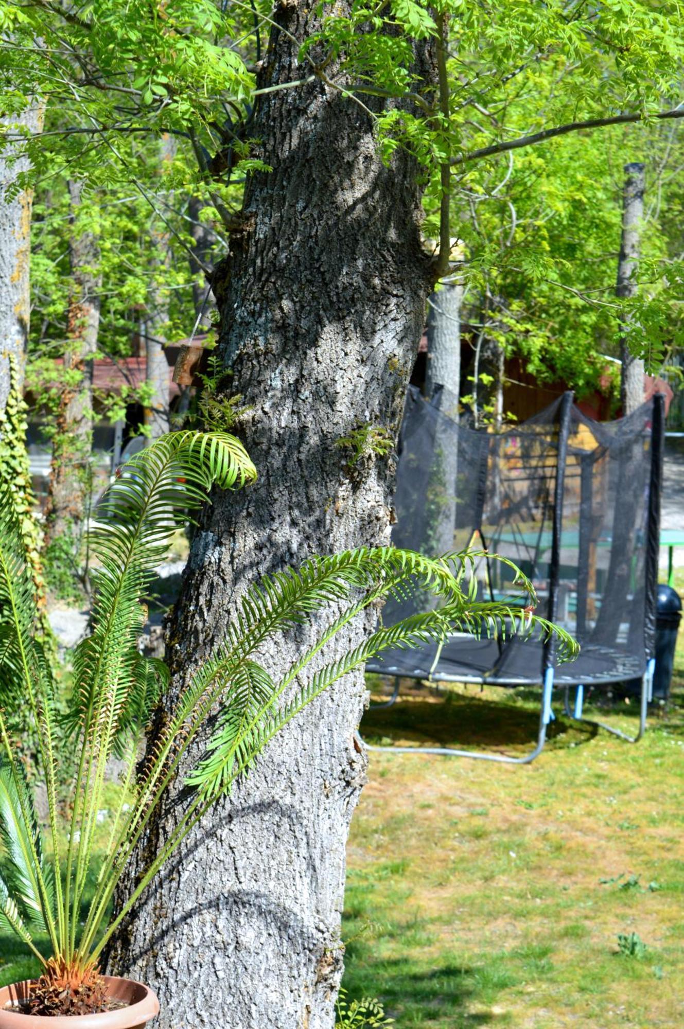 Apartments By Baza Academic Zlatni pjasătsi Eksteriør bilde