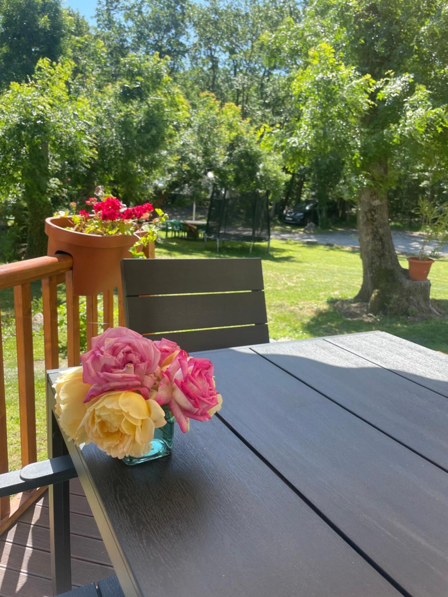 Apartments By Baza Academic Zlatni pjasătsi Eksteriør bilde